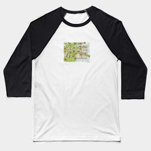 Rose bush II Baseball T-Shirt